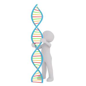 dna-1889085_1280.jpg