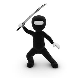 ninja-1027877_1280.jpg