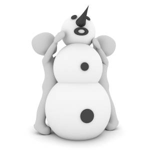 snow-man-1013862_1280.jpg