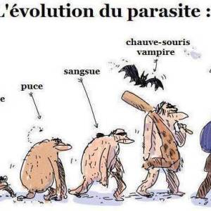 l-evolution-du-parasite.jpg